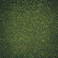 Vibrant green foliage texture background.