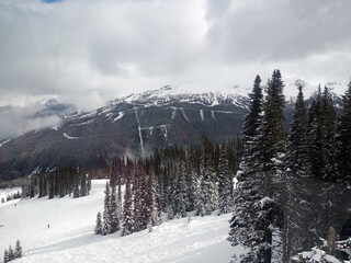 Aerial view of snowy mountains with snow covered pine trees during winter at very low temperatures