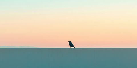 Fototapeta premium A solitary bird perches on a flat surface against a serene, pastel sky at dusk, evoking a sense of tranquility and solitude.