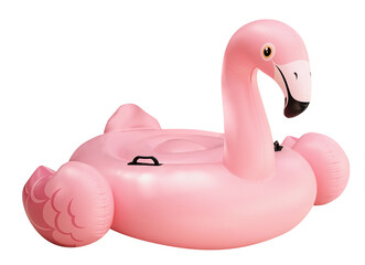 pink famingo swim pool isolated on white