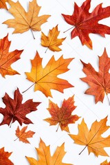 Red, orange and yellow maple leaves. Seasonal, festive, fall decoration.