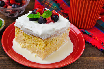 メキシコのスイーツ パステル・デ・トレス・レチェス(3種のミルクのケーキ)  Mexican sweets Pastel de Tres Leches( Mexican Tres Leches Cake,Tres Leches Cake,Three Milk Cake, 3 Milk Cake)