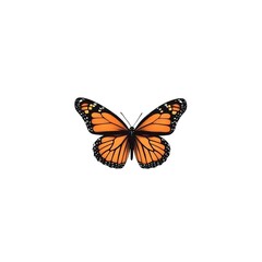 Fototapeta premium A vibrant illustration of a monarch butterfly with striking orange and black wings.