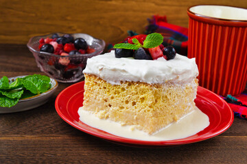 メキシコのスイーツ パステル・デ・トレス・レチェス(3種のミルクのケーキ) コピースペースあり Mexican sweets Pastel de Tres Leches( Mexican Tres Leches Cake,Tres Leches Cake,Three Milk Cake, 3 Milk Cake) with copy space