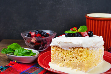 メキシコのスイーツ パステル・デ・トレス・レチェス(3種のミルクのケーキ) コピースペースあり Mexican sweets Pastel de Tres Leches( Mexican Tres Leches Cake,Tres Leches Cake,Three Milk Cake, 3 Milk Cake) with copy space