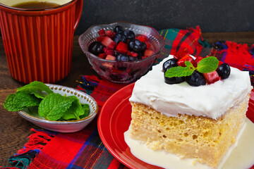 メキシコのスイーツ パステル・デ・トレス・レチェス(3種のミルクのケーキ) コピースペースあり Mexican sweets Pastel de Tres Leches( Mexican Tres Leches Cake,Tres Leches Cake,Three Milk Cake, 3 Milk Cake) with copy space
