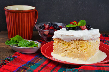 メキシコのスイーツ パステル・デ・トレス・レチェス(3種のミルクのケーキ) コピースペースあり Mexican sweets Pastel de Tres Leches( Mexican Tres Leches Cake,Tres Leches Cake,Three Milk Cake, 3 Milk Cake) with copy space