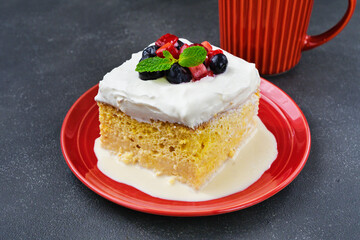 メキシコのスイーツ パステル・デ・トレス・レチェス(3種のミルクのケーキ) コピースペースあり Mexican sweets Pastel de Tres Leches( Mexican Tres Leches Cake,Tres Leches Cake,Three Milk Cake, 3 Milk Cake) with copy space