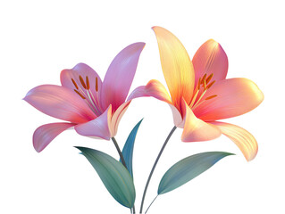 Graceful Blooming Lilies in Spring Setting on Transparent Background