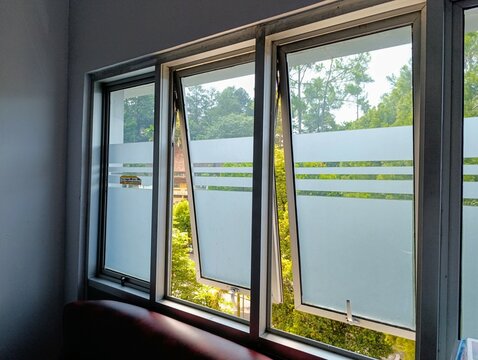 Fototapeta Modern glass windows with frosted privacy patterns, offering a serene view of lush green trees and a sunny outdoor landscape. Ideal for office or home design inspiration