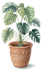 Fototapeta premium plant in flowerpot