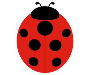 かわいいてんとう虫、ナナホシテントウのイラスト