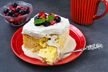 メキシコのスイーツ パステル・デ・トレス・レチェス(3種のミルクのケーキ)  Mexican sweets Pastel de Tres Leches( Mexican Tres Leches Cake,Tres Leches Cake,Three Milk Cake, 3 Milk Cake)