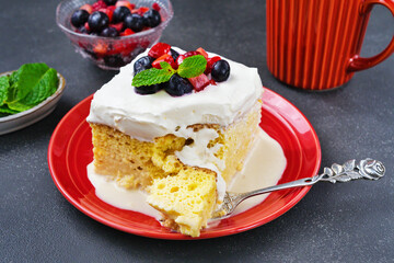 メキシコのスイーツ パステル・デ・トレス・レチェス(3種のミルクのケーキ)  Mexican sweets Pastel de Tres Leches( Mexican Tres Leches Cake,Tres Leches Cake,Three Milk Cake, 3 Milk Cake)