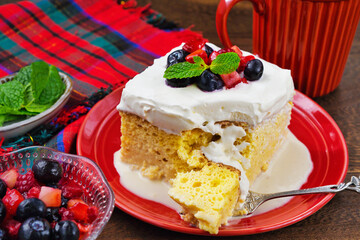 メキシコのスイーツ パステル・デ・トレス・レチェス(3種のミルクのケーキ) コピースペースあり Mexican sweets Pastel de Tres Leches( Mexican Tres Leches Cake,Tres Leches Cake,Three Milk Cake, 3 Milk Cake) with copy space