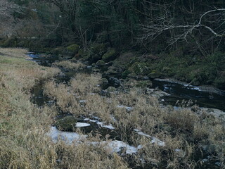 凍り始めた川