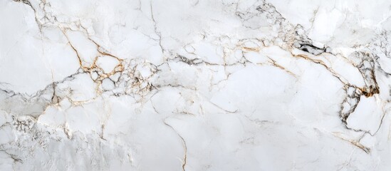 Fototapeta premium Elegant marble texture with subtle gold veining perfect for luxurious interior design and modern architectural applications.