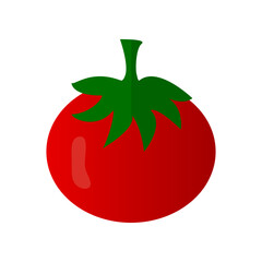 tomato fruit vector on white background