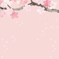 春　フレーム　桜　さくら　サクラ　花　水彩　背景　コピースペース　イラスト素材