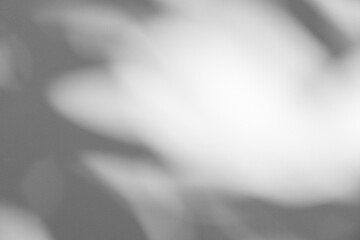 Wall interior background, studio and backdrops show products.with shadow from window color white and grey. background for text insertion and presentation product