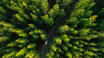 Aerial view of dark green forest road and white electric car Natural landscape and elevated roads...