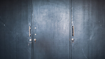 A set of closed dark cupboard doors, featuring handles and keyholes, creates a solid and secure...