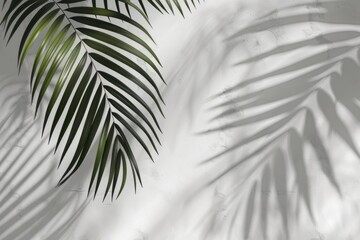 Obraz premium Minimal abstract poster with palm leaf shadow on concrete wall.