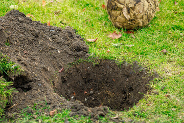 A soccer ball is sitting on the ground next to a hole