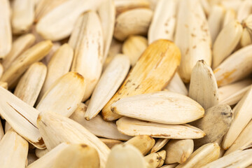 A pile of white seeds