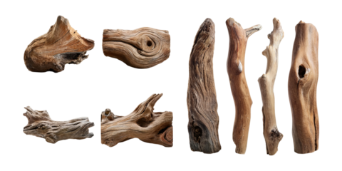 Natural Wooden Driftwood for Creative Backgrounds