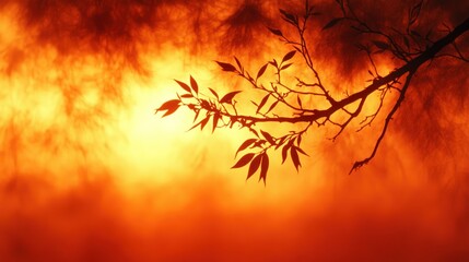 Silhouette of leaves against a vibrant sunset.
