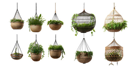 Hanging Plant Baskets with Greenery Display