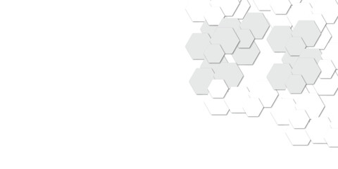 Abstract technology white and grey geometric hexagon on transparent concept design honeycomb shape vector. 