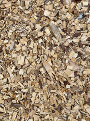 Paillis de broyats végétaux 