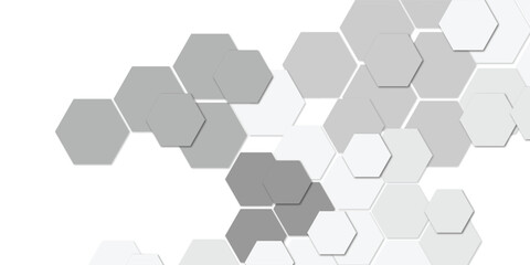 Fototapeta premium Web