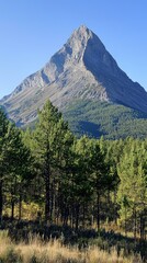 Fototapeta premium Majestic Mountain Peak Surrounded by Pine Trees Under Clear Sky