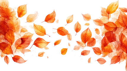 Flying autumn leaves isolated on white background 