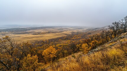 Obraz premium Autumn Landscape with Fog Over Rolling Hills and Yellow Foliage