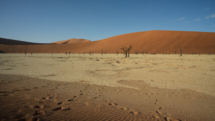 sand dunes in the desert