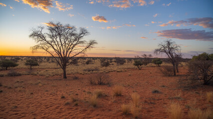 Fototapeta premium sunset in the desert