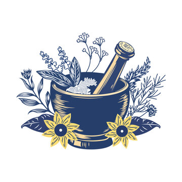 A vintage style illustration of herbal medicine in mortar pestle
