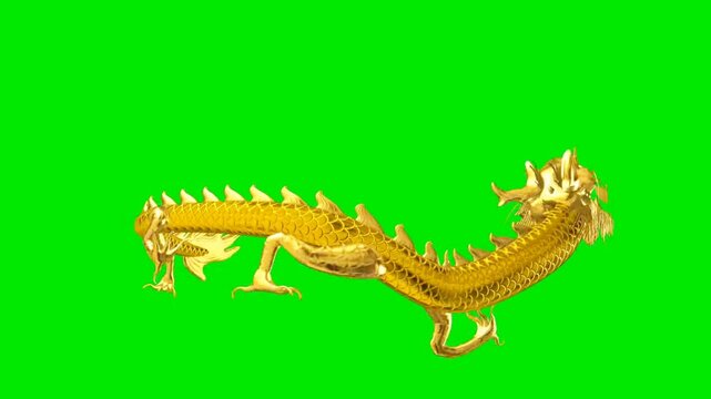 Chinese golden dragon on Green Screen. Happy Chinese new year and Lunar new year 2025, Chroma key gold dragon.