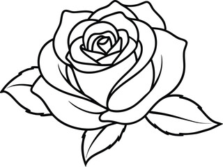 rose outline vector, rose flower line art vector