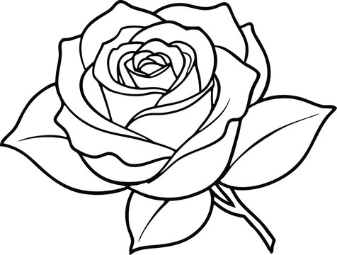 recommend clip art: rose outline vector, rose flower line art vector
