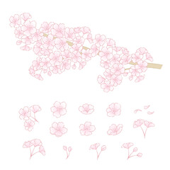 桜のイラストセット