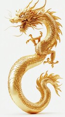 Obraz premium Golden Dragon Illustration