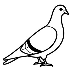 Cute Silhouette of a Pigeon line art vector cartoon illustration