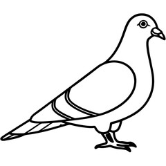 Cute Silhouette of a Pigeon line art vector cartoon illustration