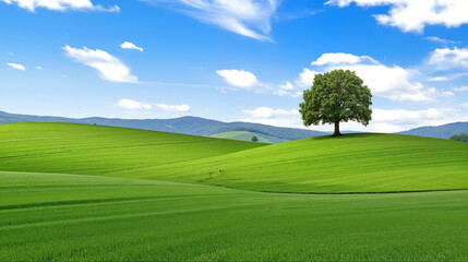Obraz premium landscape with trees and sky