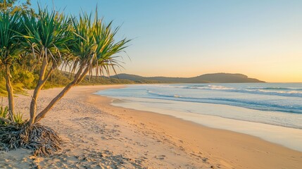 Serene Beach Sunrise with Palm Trees and Calm Ocean Waves